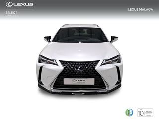 Lexus UX 2.0 250h Premium