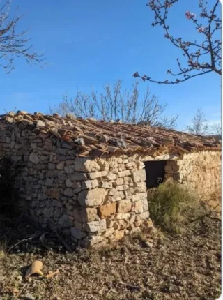 Terreno secano Almendros 7000 m²