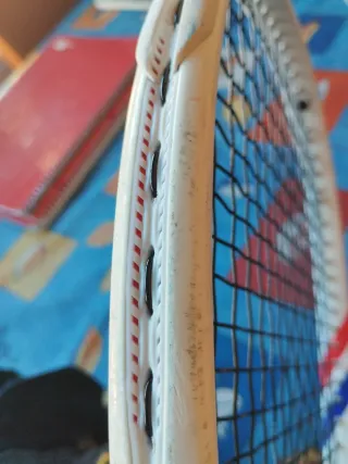 Raqueta Tecnifibre T-Fight 285gr Mango 2