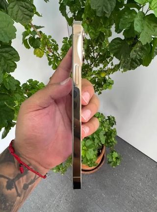 iPhone 13 Pro Max Dorato