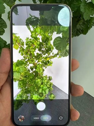 iPhone 13 Pro Max Dorato