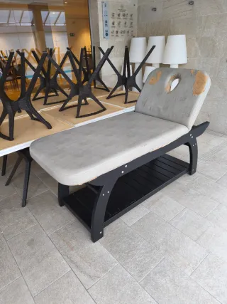 Camilla de Masaje Profesional (Estructura Premium)