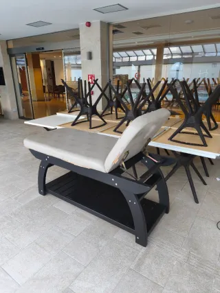 Camilla de Masaje Profesional (Estructura Premium)