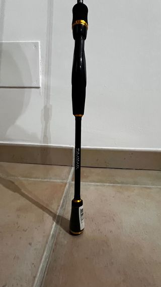 Caña de pescar Daiwa Exceler 681MFS