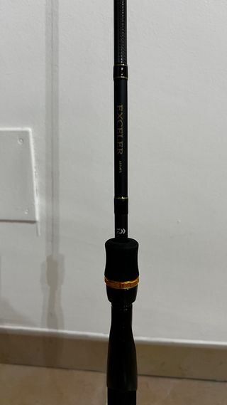 Caña de pescar Daiwa Exceler 681MFS