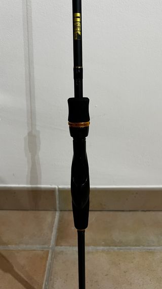 Caña de pescar Daiwa Exceler 681MFS