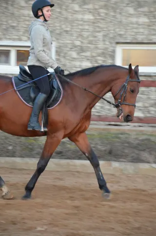 Pantalón equitación niño/a 170cm