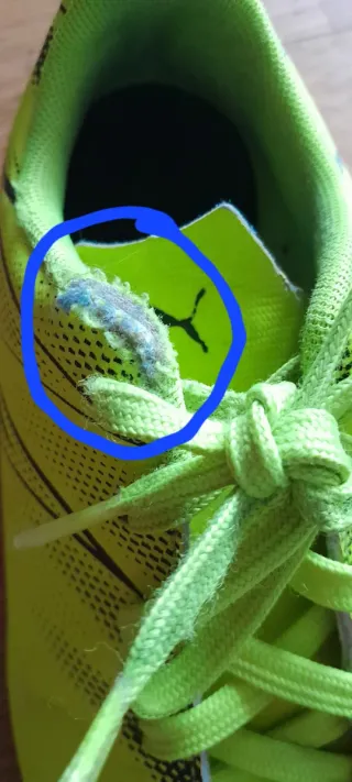 Botas de fútbol Puma Talla 32