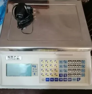 2 Balanzas Epelsa Marte (Una sin cargador)