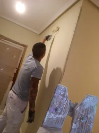 Servicios de pintura profesional