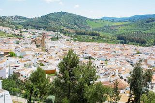 Piso en venta en Algodonales