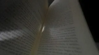 Sobreviviré y el diario de Bridget Jones