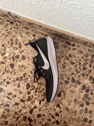 Zapatillas Nike Running Negras y Plateadas