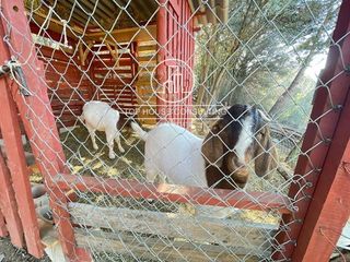Terreno en venta en Arenys de Munt