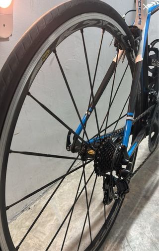 Bicicleta Focus Cayo Carbono Talla XS - Escuelas