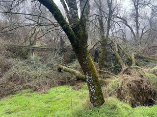 Solar en venta en Miraflores de la Sierra