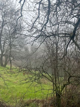 Solar en venta en Miraflores de la Sierra