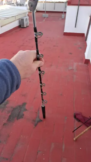 Caña de pesca de mar