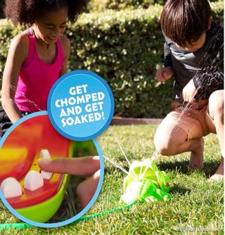 Cocodrilo Sacamuelas Splash Juego