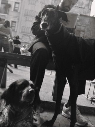 Sesión de fotos con tu mascota que no olvidarás