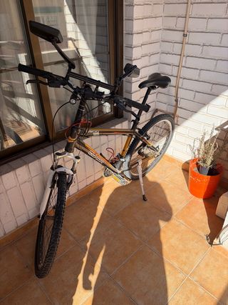 Bicicleta de ciudad con marchas