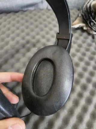 Auriculares Sony MDR-P1 Negros