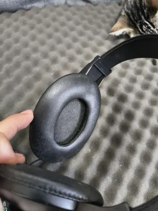 Auriculares Sony MDR-P1 Negros