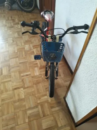 Bicicleta infantil 16 APOLO
