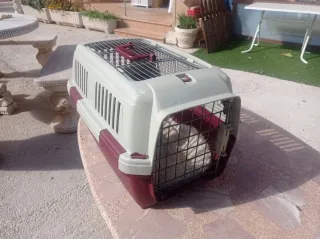 Transporte de mascotas