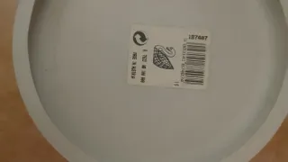 Swarovski Cigno Centenario