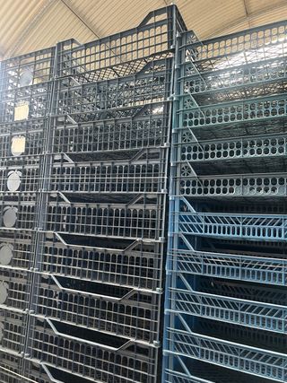 Cajas de fruta 60x40x17