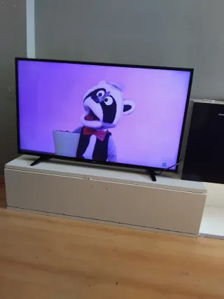 Televisor LG Negro