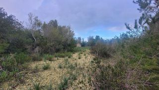 Terreno en venta en Algaida