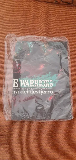 Póster Zelda Hyrule Warriors Switch