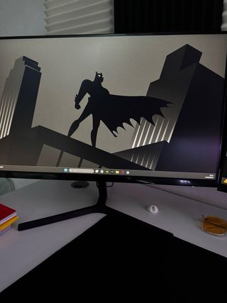 Coppia Monitor Gaming/Editing