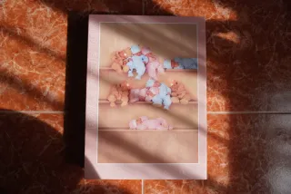 Puzzle Educa 1000 Piezas Anne Geddes