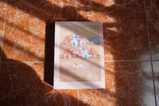 Puzzle Educa 1000 Piezas Anne Geddes