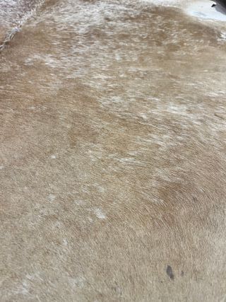 Alfombra de piel de vaca