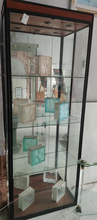 Vitrina expositora con luces