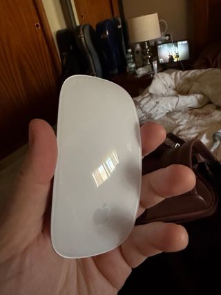 Apple Magic Mouse USB-C Blanco