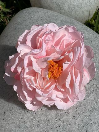 Conjunto fe flamenca