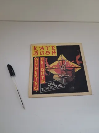 Disco Vinile 45 giri