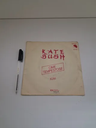 Disco Vinile 45 giri