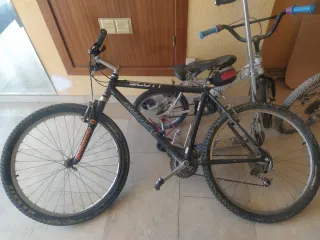 Bicicleta