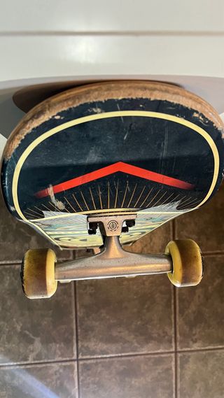 Skate Element Hatched Rojo