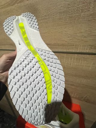 Nike pagasus premium