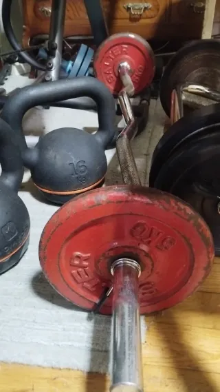 Discos de pesa Salter 5 kg con barra