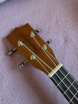 Ukelele soprano Tanglewood