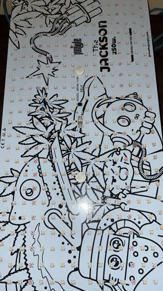 Leds the jackson 250 w