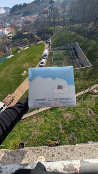 Popmart Labubu The Monsters Pin for Love (N-Z)